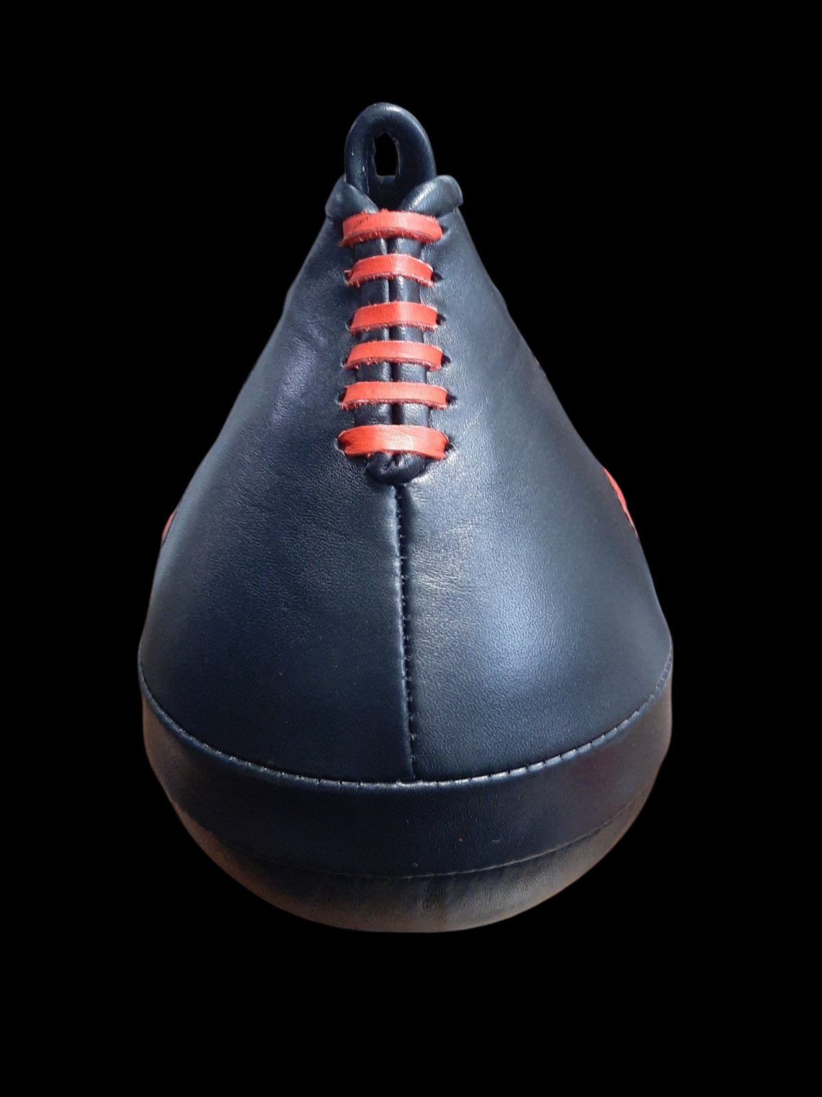 Last Roni Boxing Speed Bag for 2025